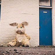 ddos攻击ip软件下载